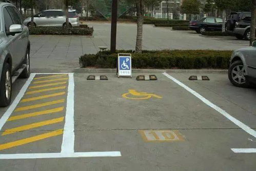 停车位的草种选择：耐寒耐旱也重要