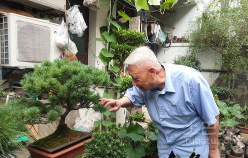 价格， 从几百到上万元，差距真大