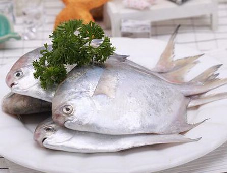 金鲳鱼是海水鱼，刺少肉多