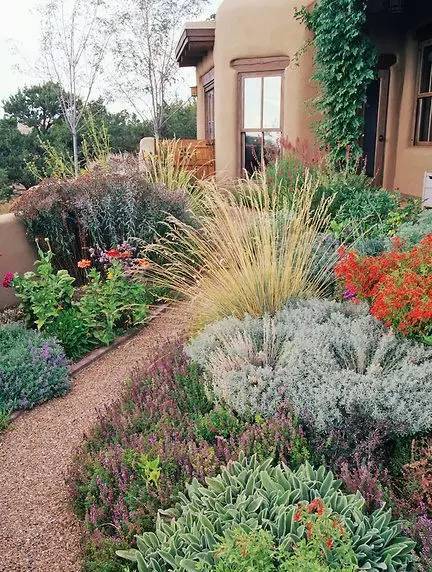 耐热植物的魔力