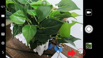 科技与自然的交融