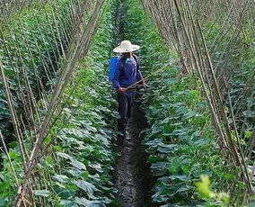 使用农药要注意