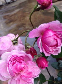 优点多多， 让人心动