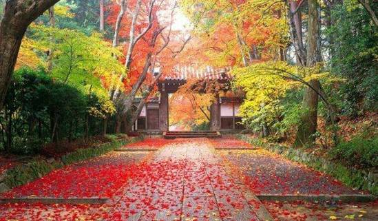 山西晋中的育苗户们发明了