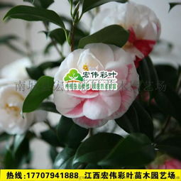 阳光下的成长， 暖意融融时