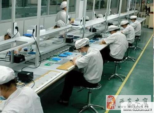 饲料中控工与普工有何区别？他们在饲料厂的工作职责有哪些？