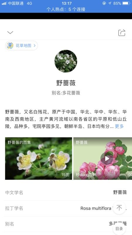 不合时宜的生存策略