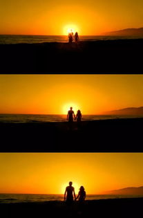 夕颜花：浪漫夕阳，爱情永恒