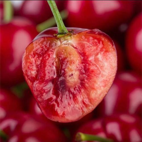 诱抗素：登记使用对象与注意事项