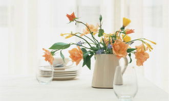 如何平安摆放树胶花