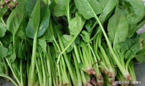 设施栽培， 减量用药