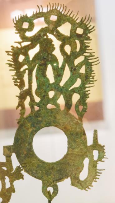 终极难题破解：树干长白斑