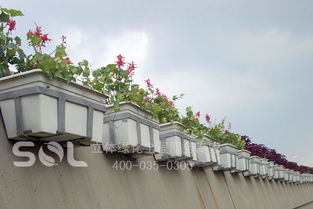 立体绿化， 新时尚