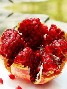 种石榴， 致富路，技术服务，跟着走