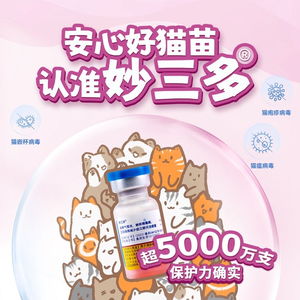 妙三多与硕腾哪个更胜一筹？两者有何显著区别？