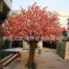 樱花的美， 等你来赏