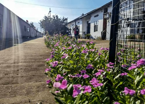 花兴智创 科技引领