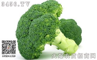 西兰花灰霉病的特效药大揭秘！