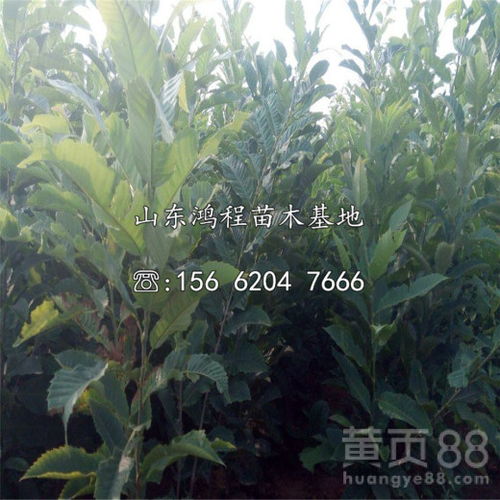 警方介入， 追回部分损失