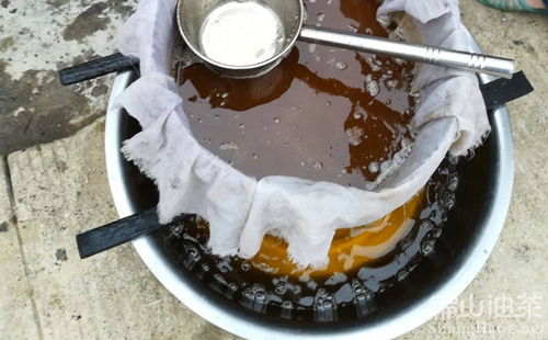 福建红花油茶苗真假难辨？揭秘三招锁定正宗货源！