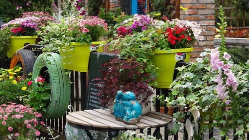 空调房里的花草， 要注意湿度