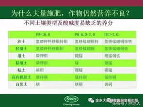 二、土壤酸化问题