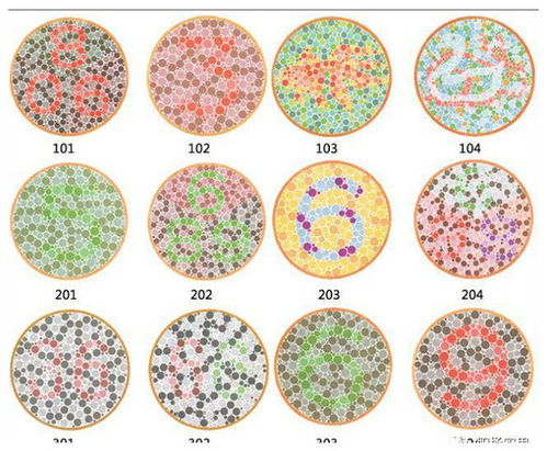 红色系色块苗木