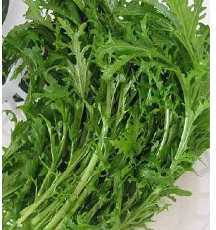 种植密度，要把握好