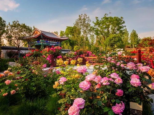 提升服务， 展现南阳风采