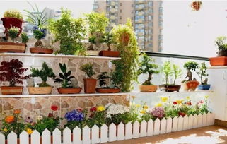 土壤配方大揭秘