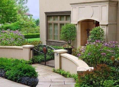 黄杨在风水中的位置