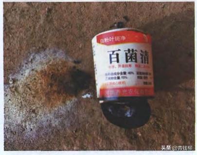 效果如何？比其他方法强在哪里？