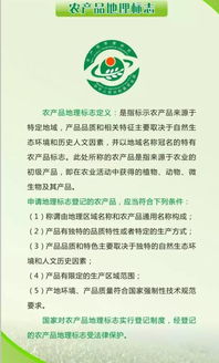 二、免检产品，了解一下