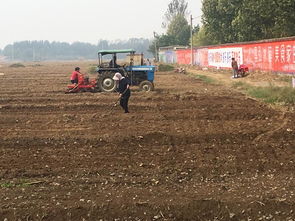 硬核数据，血的教训