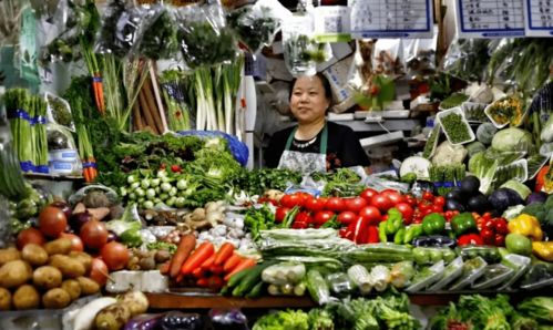 种菜也要讲技巧， 不是随便撒种子就行的