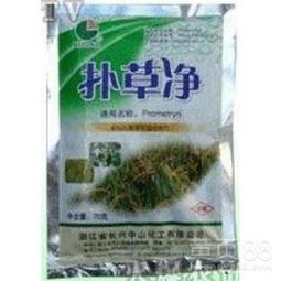 再来说说50%扑草净可湿性粉