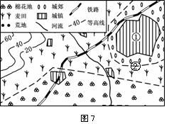 避开采购陷阱，选择优质草花