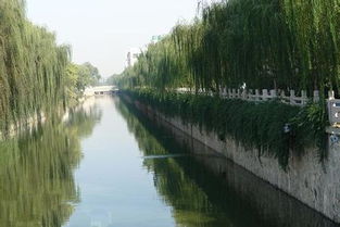 河道绿化植物选择， 那些美美哒的植物们