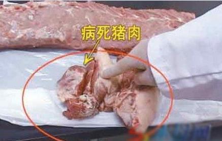 别再让猪白死，死猪身上有哪些经验教训Ke以？