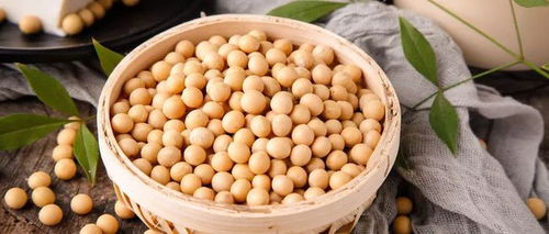 膨化大豆，营养宝库中隐藏着哪些秘密