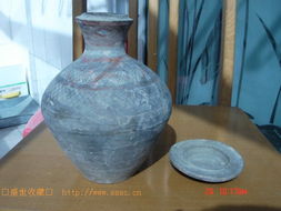 首选：多肉蔬菜