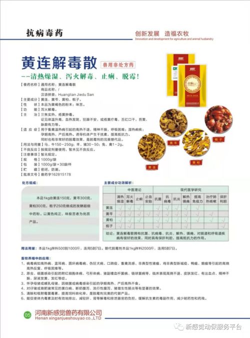 猪皮肤发红预示着什么疾病？