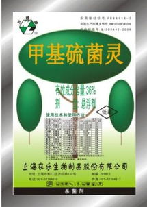 水稻纹枯病的烦恼