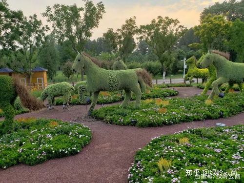 一、植物根的增加与移植时间