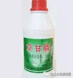 草甘膦：广谱高效， 但也需谨慎