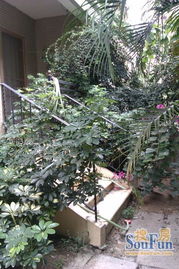 东南角：风水宝地， 美观实用两不误