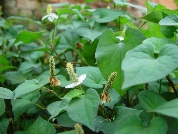 小测试， 确保平安