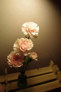 海边与内陆的落叶大不同