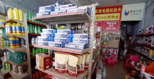 城市地摊：杀虫剂难觅踪影