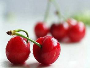 樱桃籽发芽那些事儿